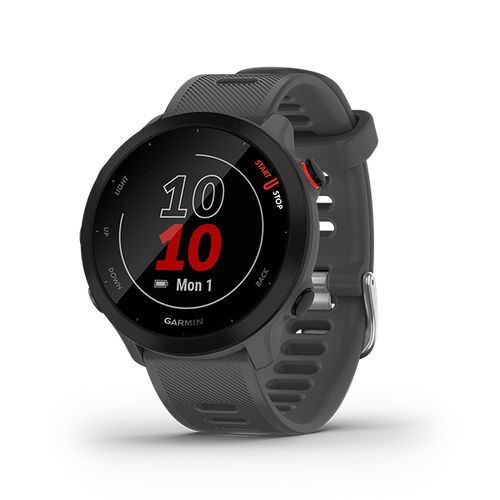 Умные часы Garmin Forerunner 55 grey 25749₽