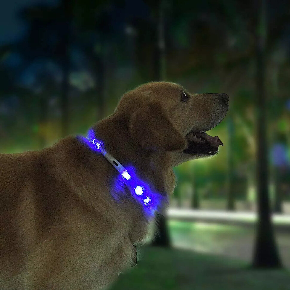 Изображение Ошейник светящийся Xiaomi Little Beast Star Pet Glowing Collar