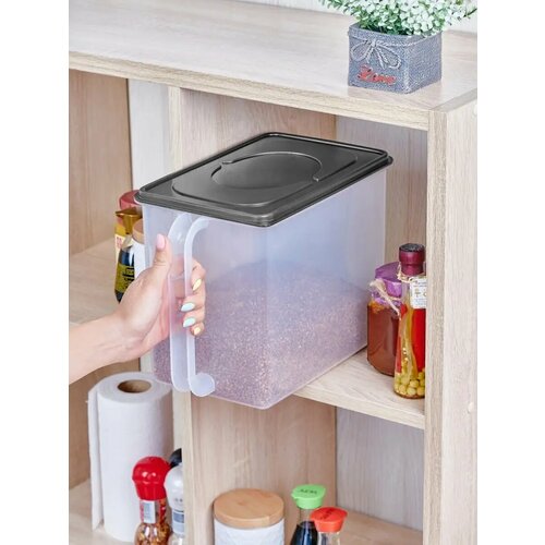 Контейнер для хранения 9,5 л с ручкой