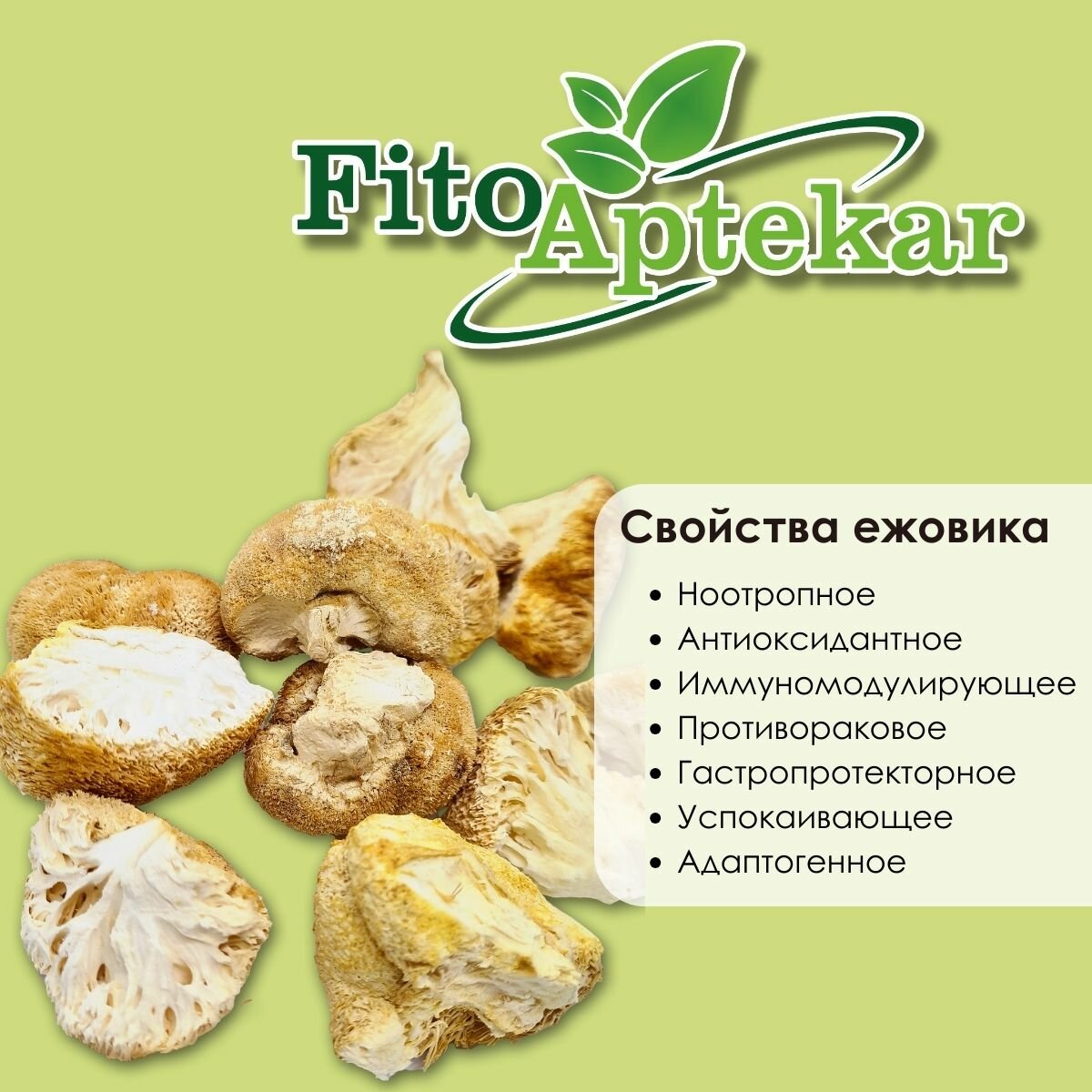 Картинки Гриб ежовик "Фито-Аптекарь" - для активной работы мозга, цельный 1 кг