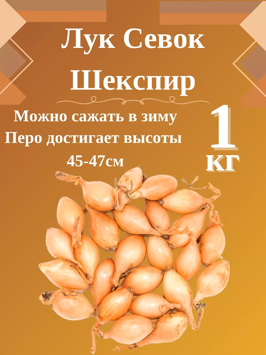 Лук Севок сорт