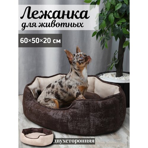 Двухсторонняя Лежанка, для кошек и собак, круглая, кремово-коричневый, 60х50х20 см