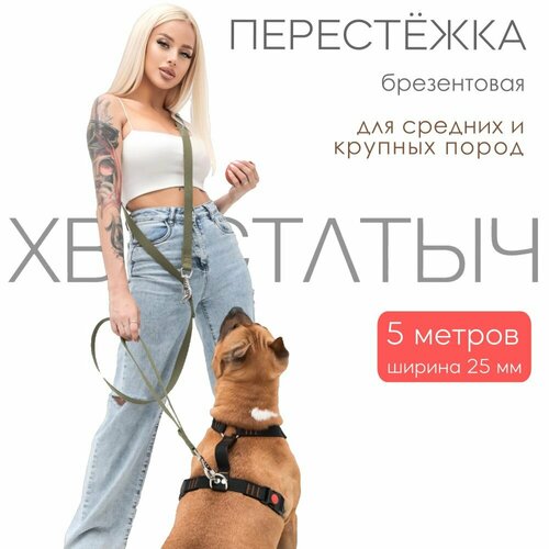 Перестежка для собак PRO прошитая брезент 5 м х 25 мм (зеленый)