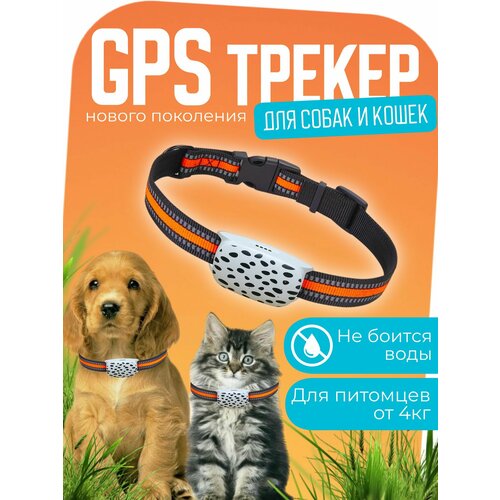 GPS трекер для собак и кошек и животных с ошейником 4G
