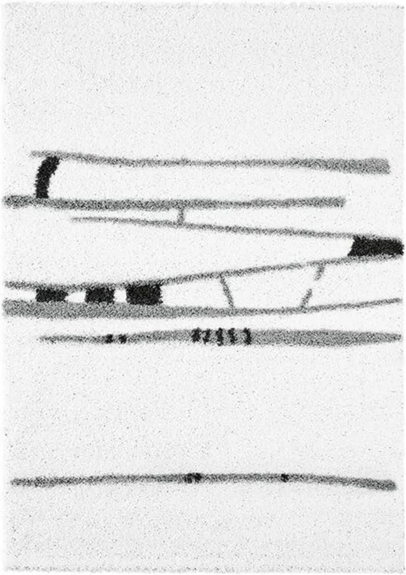 Agnella Ковер Jazzy Kimi white 0 8x1 6м