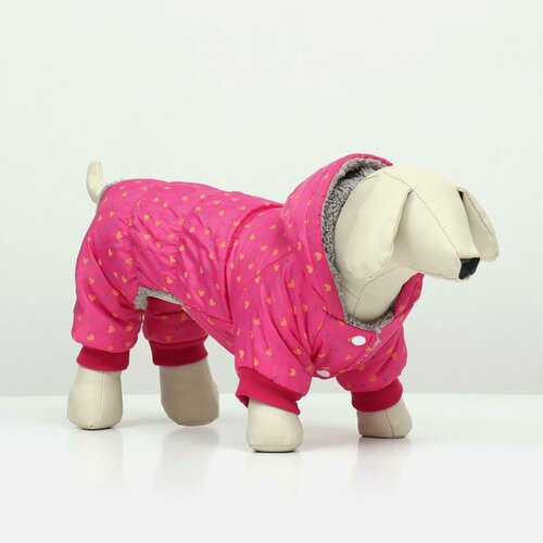 Изображение товара Комбинезон "нежный путь" на меховом подкладе, размер XL (ДС 40, ОШ 40, ОГ 50 см), розовый