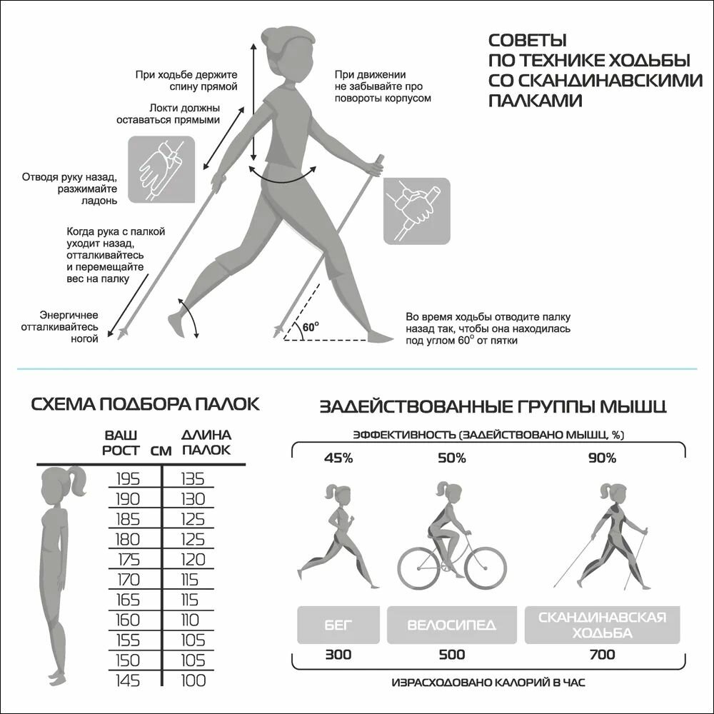 Палки для скандинавской ходьбы ECOS Nordic регулируемые 85-135см, двухсекционные, алюминиевые, 1пара — фото 1