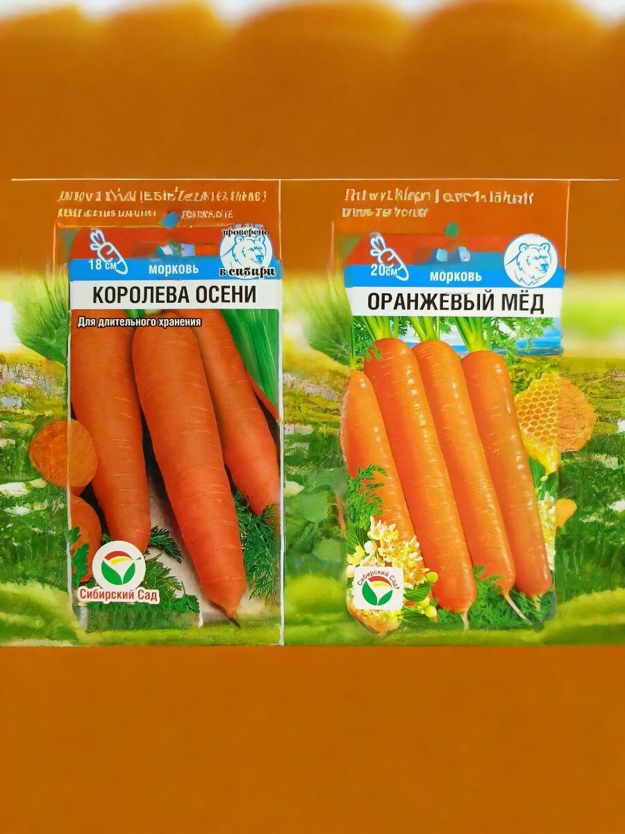 Набор семян моркови Агрофирмы Сибирский Сад 2 вида   Оранжевый мед   Королева осени по 1 пакету 