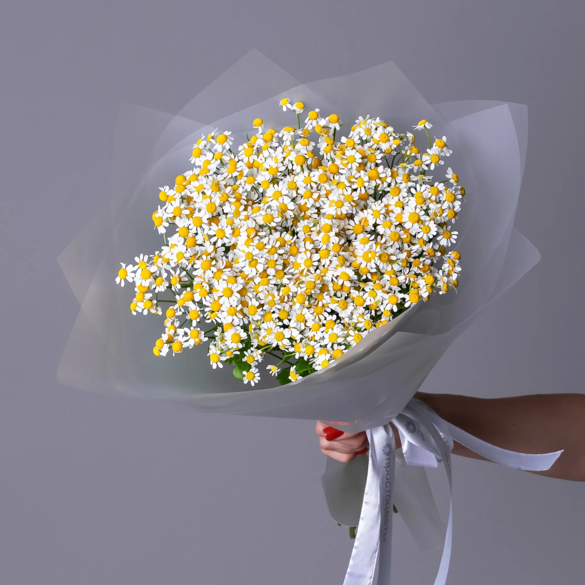Букет Матрикария "Сингл Вигмо" 11 шт Высота 60 см в коробке и аквабоксе от "Простоцветы"