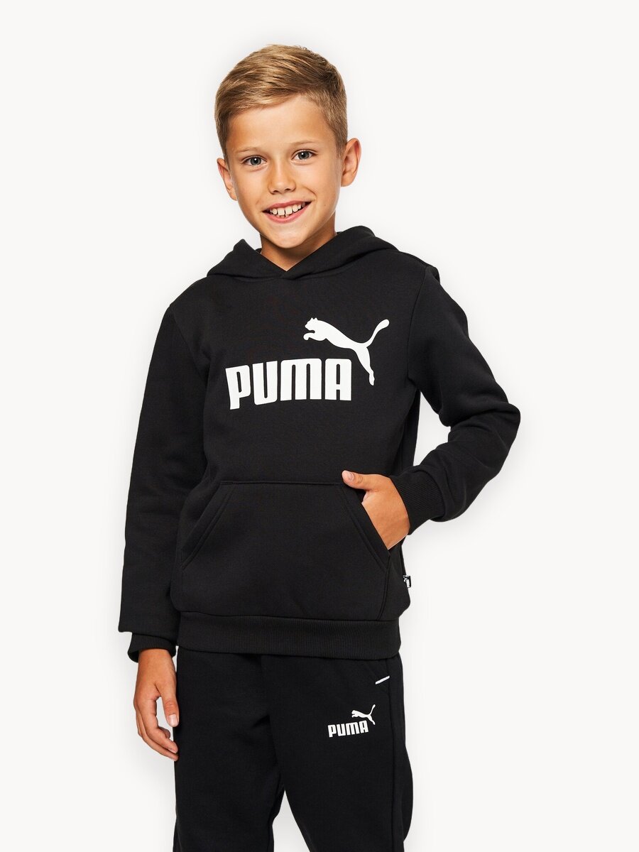 Худи ESS Big Logo