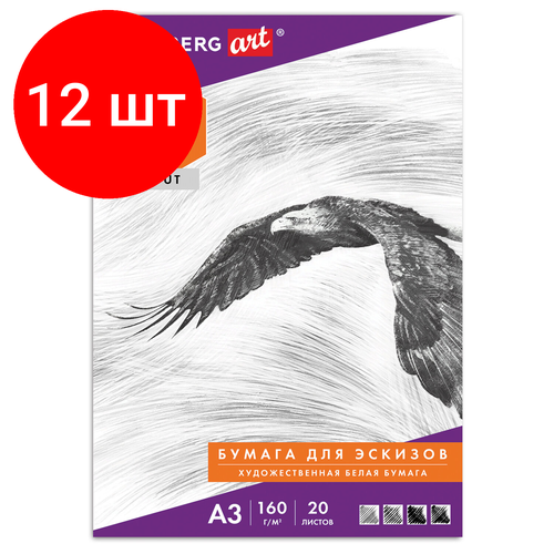 Комплект 12 шт, Папка для рисования большого формата А3, 20 л, 160 г/м2, BRAUBERG, 297х420 мм, Орел, 125228 комплект 19 шт папка для рисования большого формата а3 20 л 160 г м2 brauberg 297х420 мм орел 125228