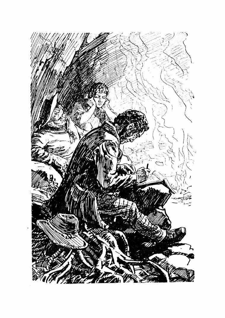 Таинственный остров (Жюль Верн) - фото №19