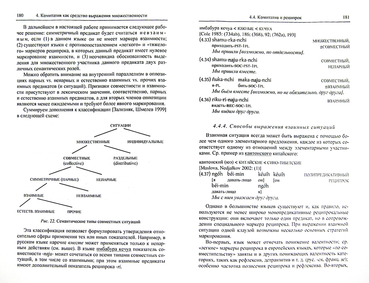 Типология комитативных конструкций - фото №7