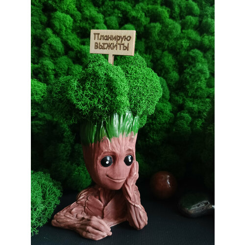 Грут со мхом + стик 