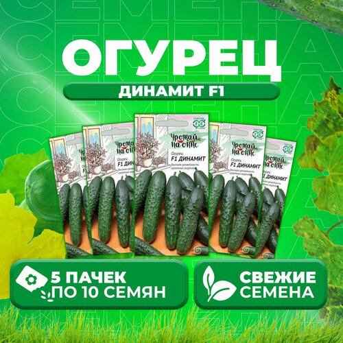 Огурец Динамит F1, 10шт, Гавриш, Урожай на окне (5 уп)