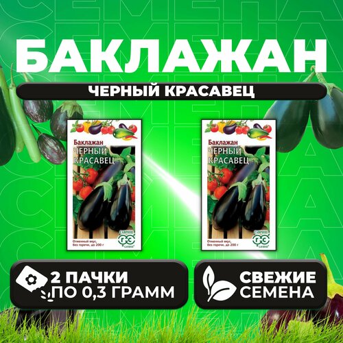 Семена Баклажан Черный красавец - 2 упаковки / Гавриш