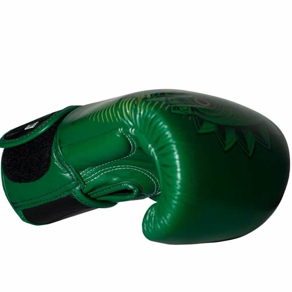 Премиальные перчатки для бокса RESURRECTION 14oz — фото 1