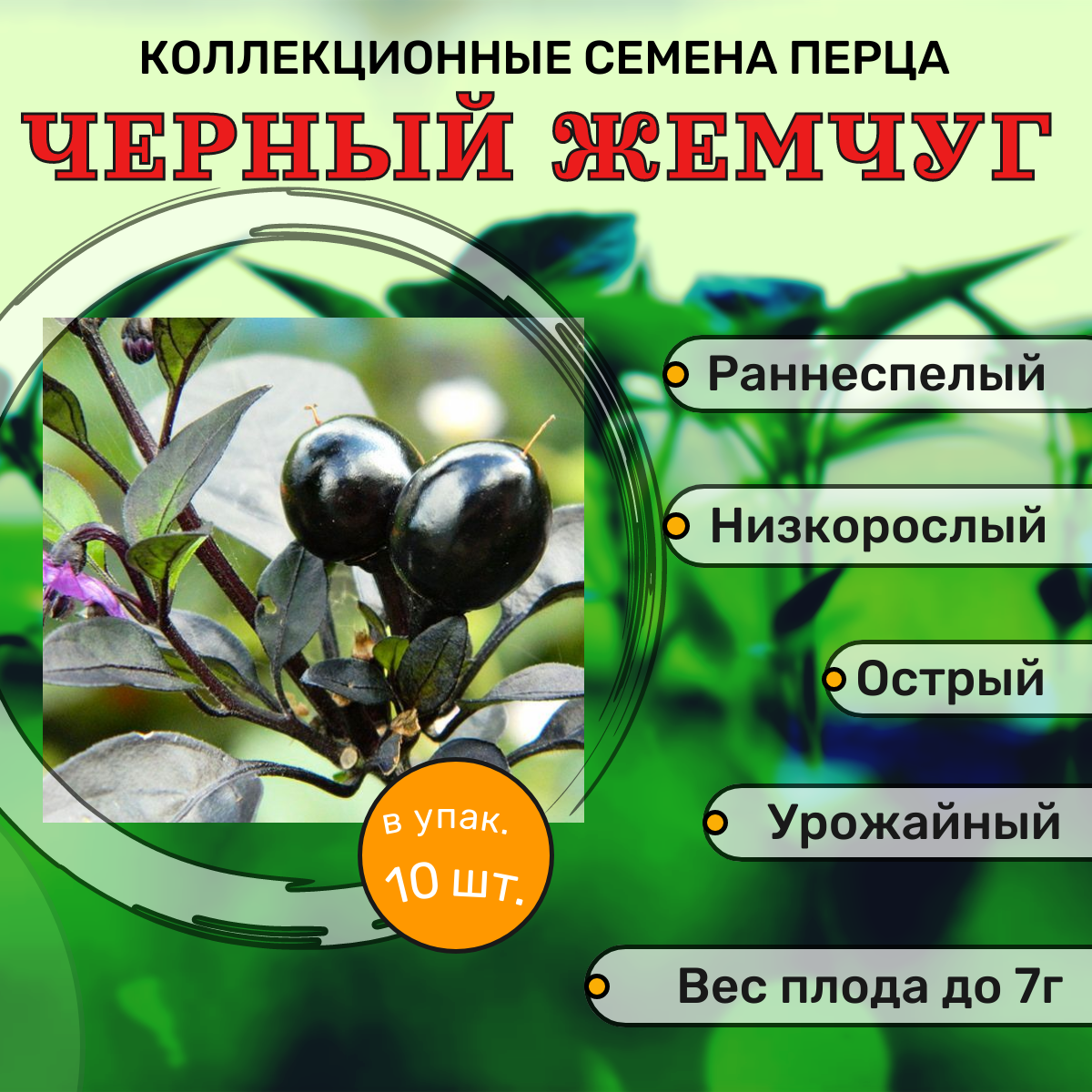 фото Коллекционные семена перца острого F1 Черный жемчуг