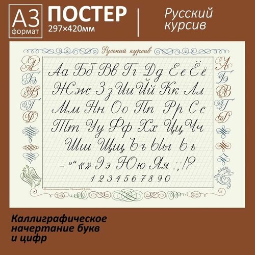 Каллиграфический алфавит. Азбука русского курсива. Все буквы и цифры Плакат/постер (А3)