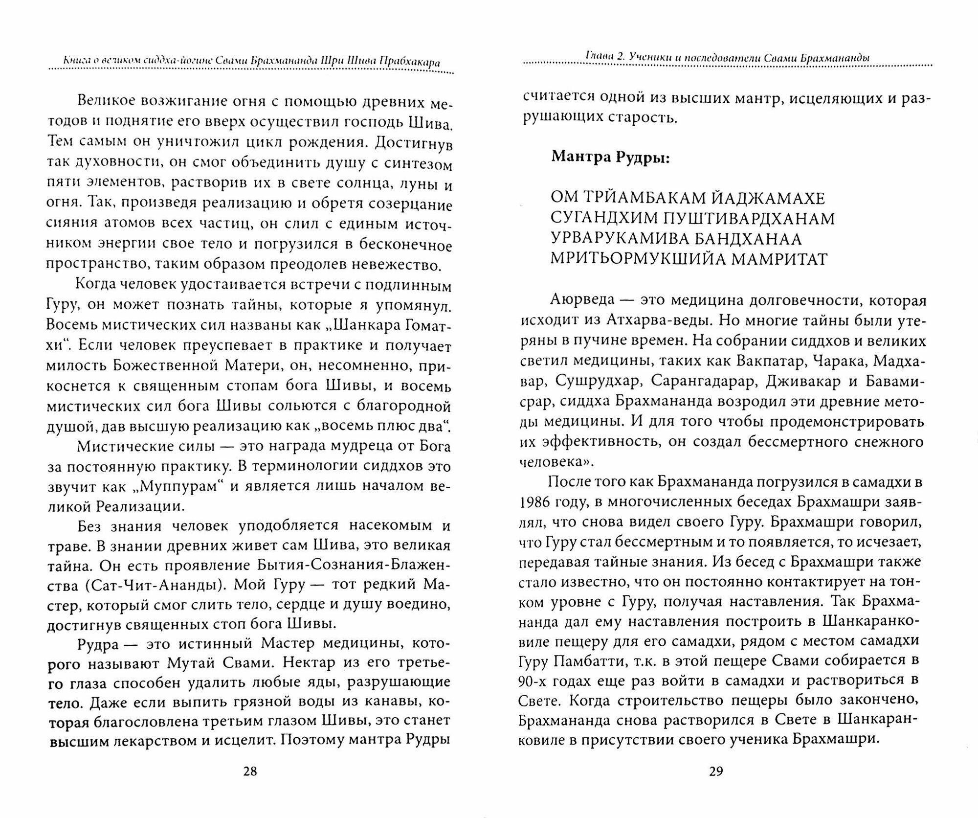 Книга о великом сиддха-йогине Свами Брахмананда Шри Шива Прабхакара - фото №2