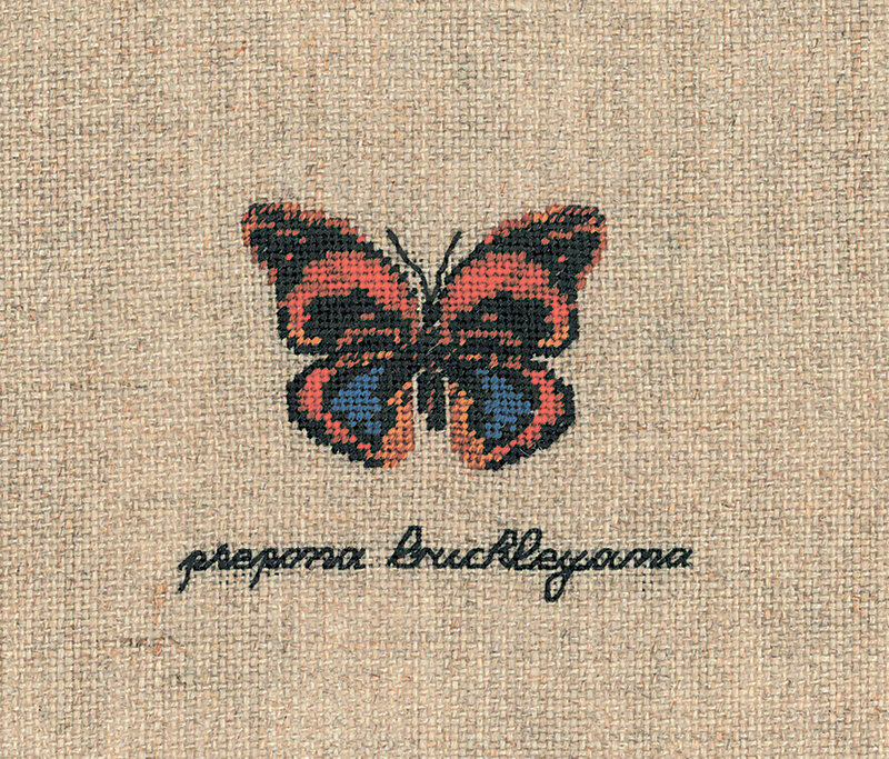 Набор для вышивания: PAPILLON PREPONA BUCKLEYANA Бабочка PREPONA BUCKLEYANA 3629