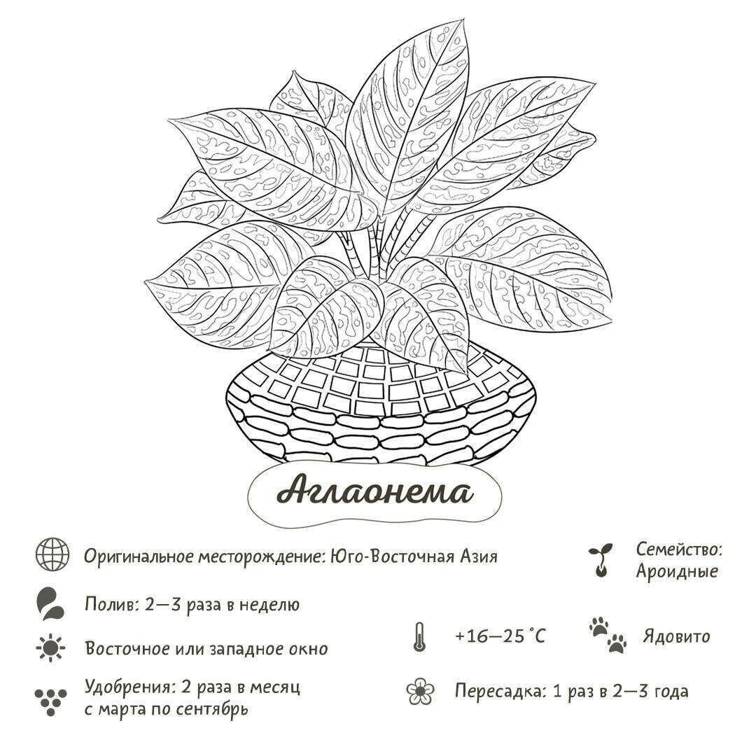 Раскраска-Трекер АСТ "Растущие в темноте", 2023 год, мягкий переплет — фото 1