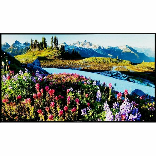 Телевизор THOMSON T50USL7040 3479000₽