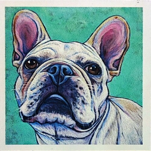 Алмазная мозаика 20*20см французский бульдог собака. Поп-арт детская без подрамника, частичная выкладка