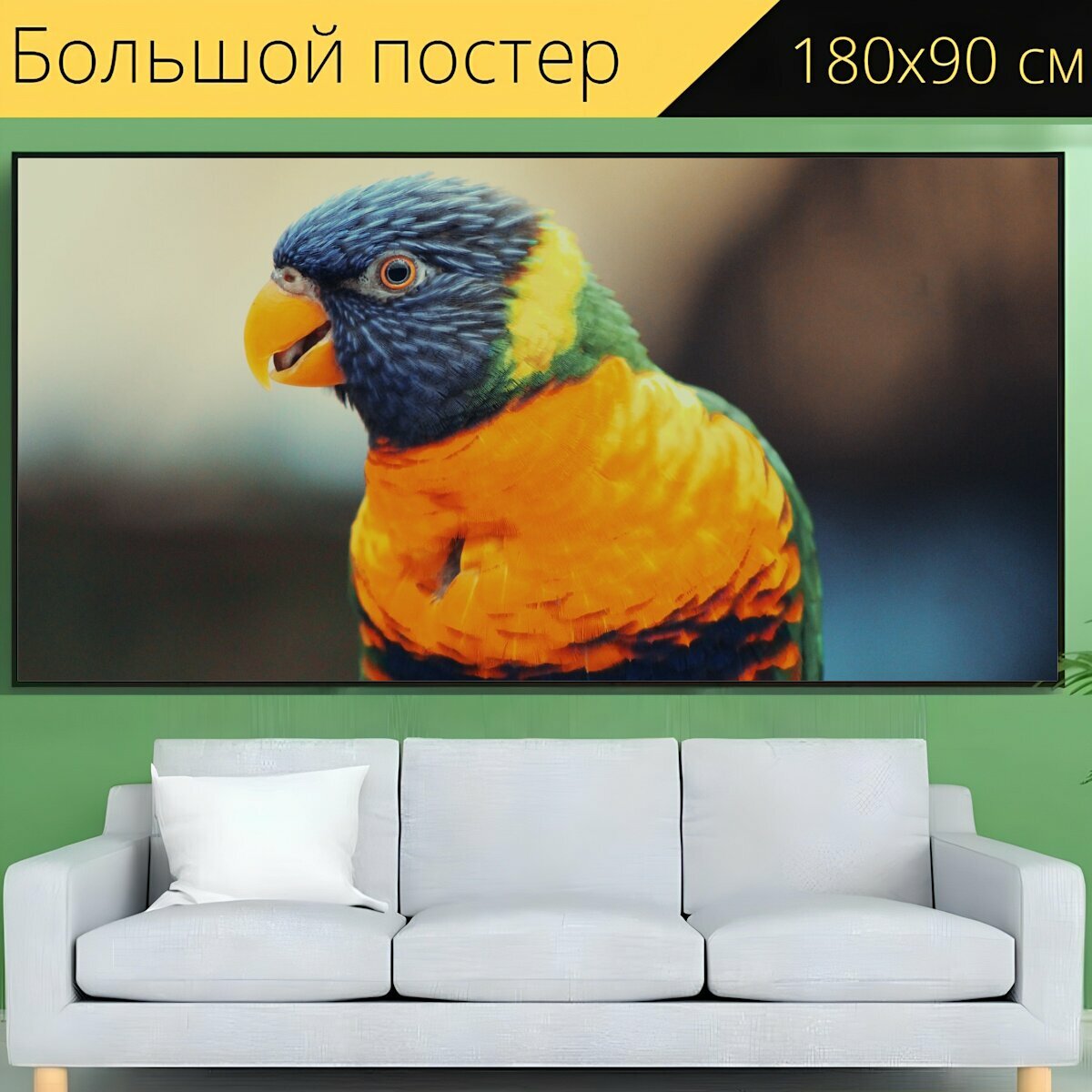 Большой постер "Мускусный лорикет попугай красочный" 180 x 90 см. для интерьера