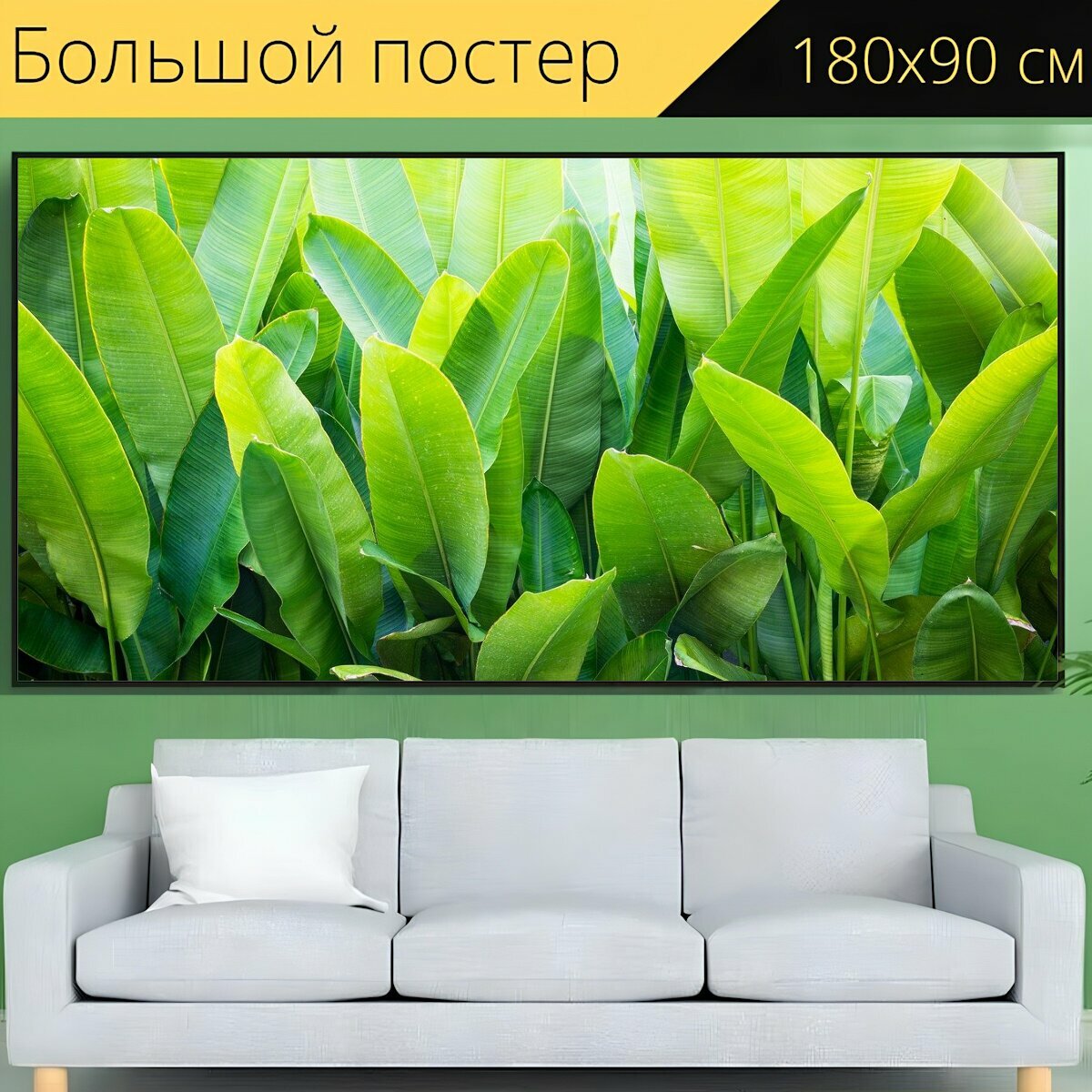 Большой постер "Банан, лист, зеленый" 180 x 90 см. для интерьера