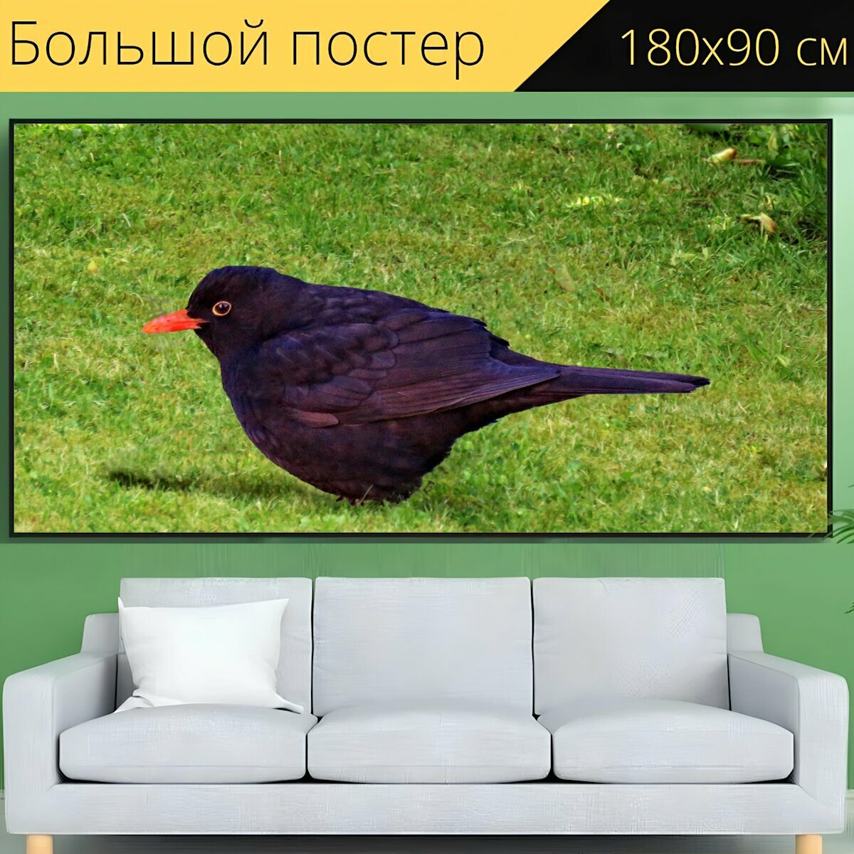 Большой постер "Птица, черный дрозд, певчая птица" 180 x 90 см. для интерьера