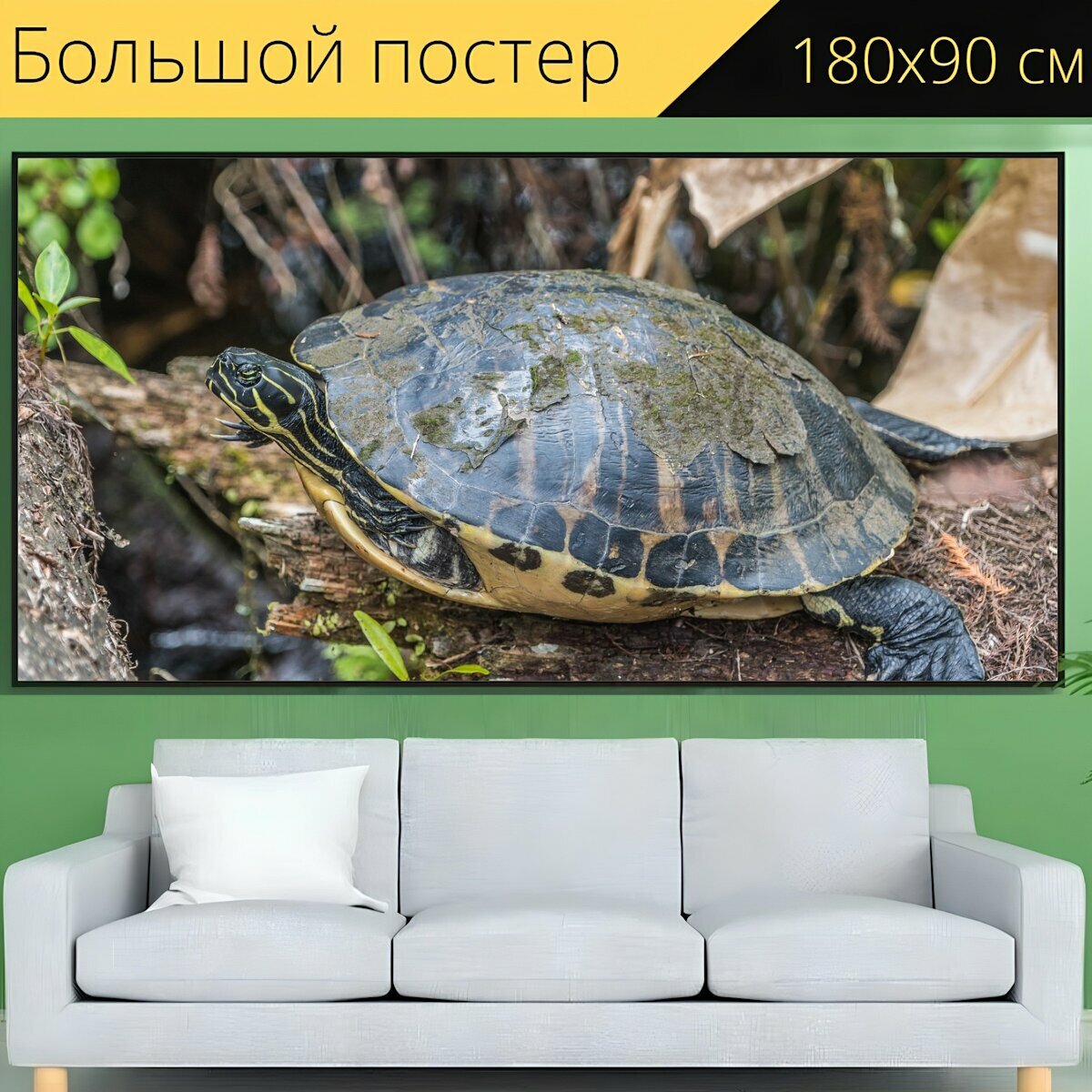 Большой постер "Черепаха, рептилия, лес" 180 x 90 см. для интерьера