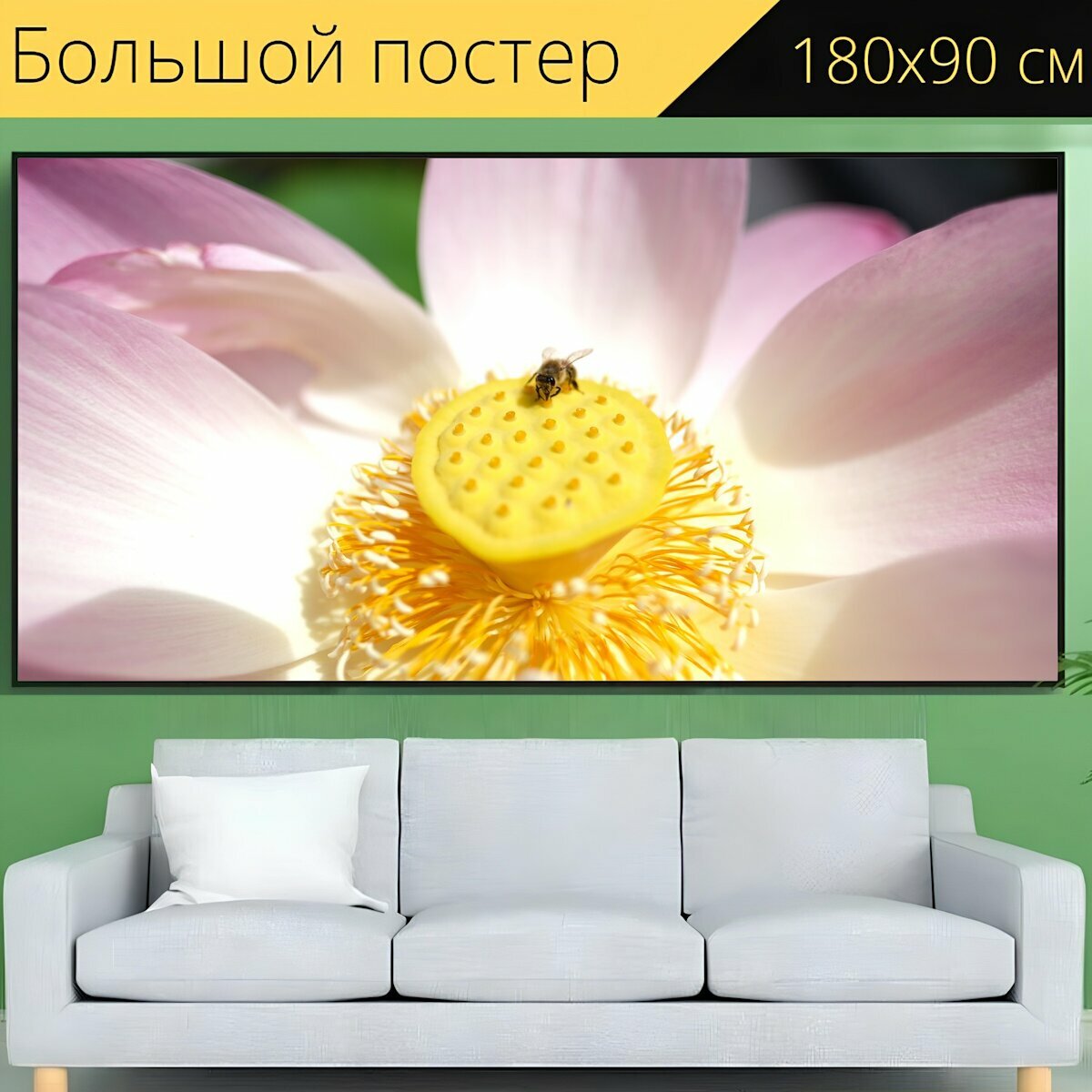 Большой постер "Лотос, цветок, пчела" 180 x 90 см. для интерьера