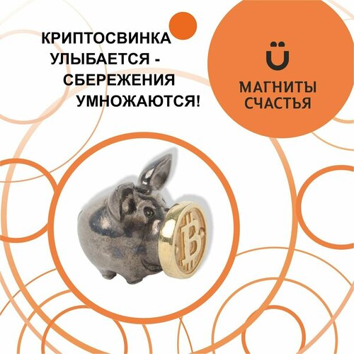 Магниты Счастья, денежный Талисман 