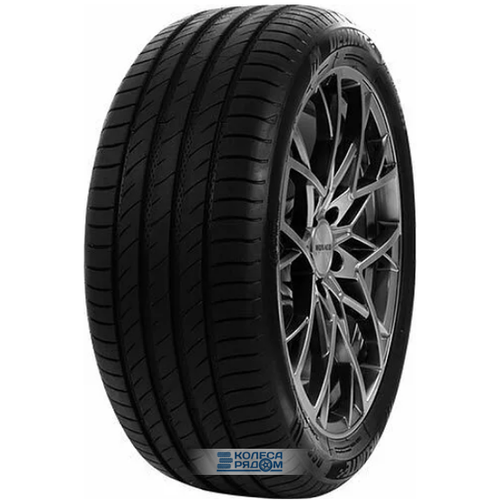 Delinte DS2 225/55 R16 99W