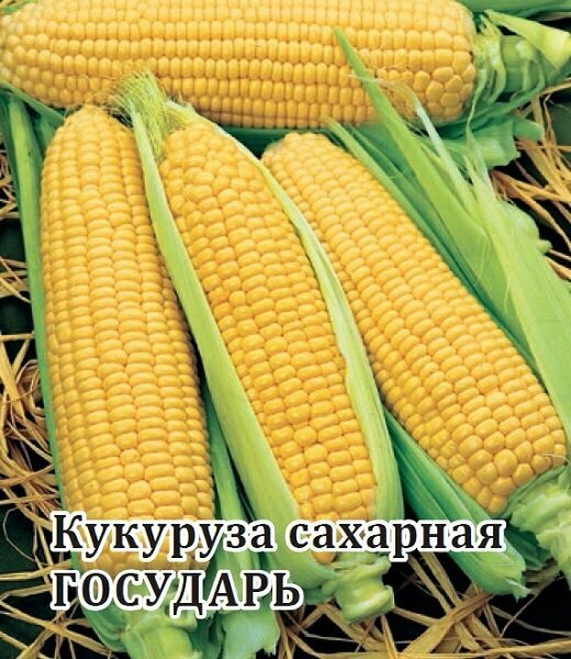Семена Кукуруза сахарная Государь 50г Гавриш Фермерское подворье 5 пакетиков
