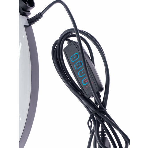 Кольцевая лампа LJJ-30 30см 99000₽