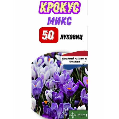 Крокус Луковицы микс сорта 50 штук