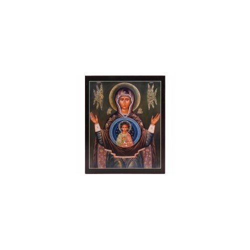 Икона БМ Знамение 18х22 #155272 икона бм владимирская 18х22 в окладе