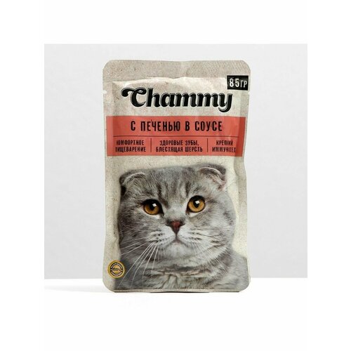 Влажный корм Chammy для кошек, печень, кусочки в соусе, пауч