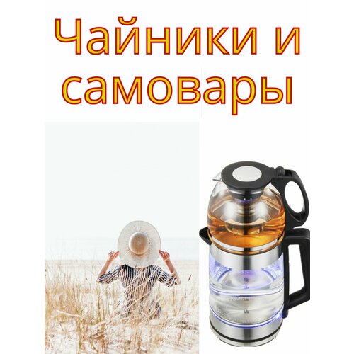 Электрические Чайники и самовары 299900₽