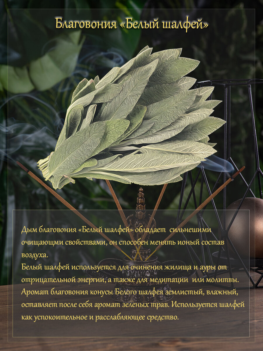 Благовония конусы стелющийся дым Orkay Белый шалфей White Sage, 10 ароматических конусов, 35 г, Индия — фото 1