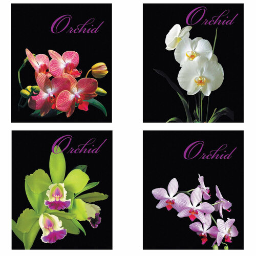 Тетрадь А5, 48 л, BRAUBERG, скоба, клетка, обложка картон, орхидеи, 401287 упаковка 20 шт. тетрадь а5 48 л brauberg клетка обложка картон орхидеи 401287 цена за 20 шт