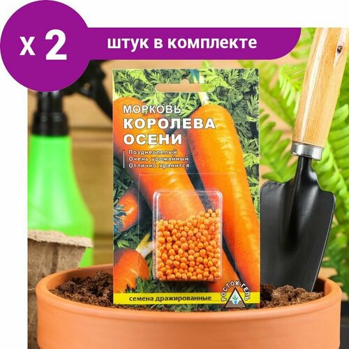 Семена Морковь 'Королева осени' простое драже, 300 шт (2 шт)