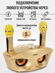 SDRD SD-306 - bluetooth колонка-караоке с беспроводными микрофонами, золотой