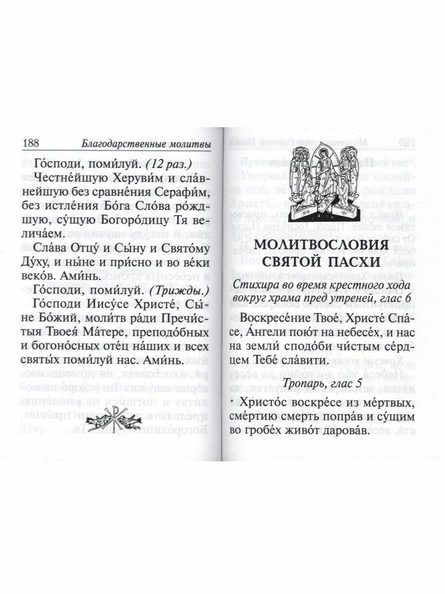 Молитвослов с молитвами о болящих. Православный - фото №15