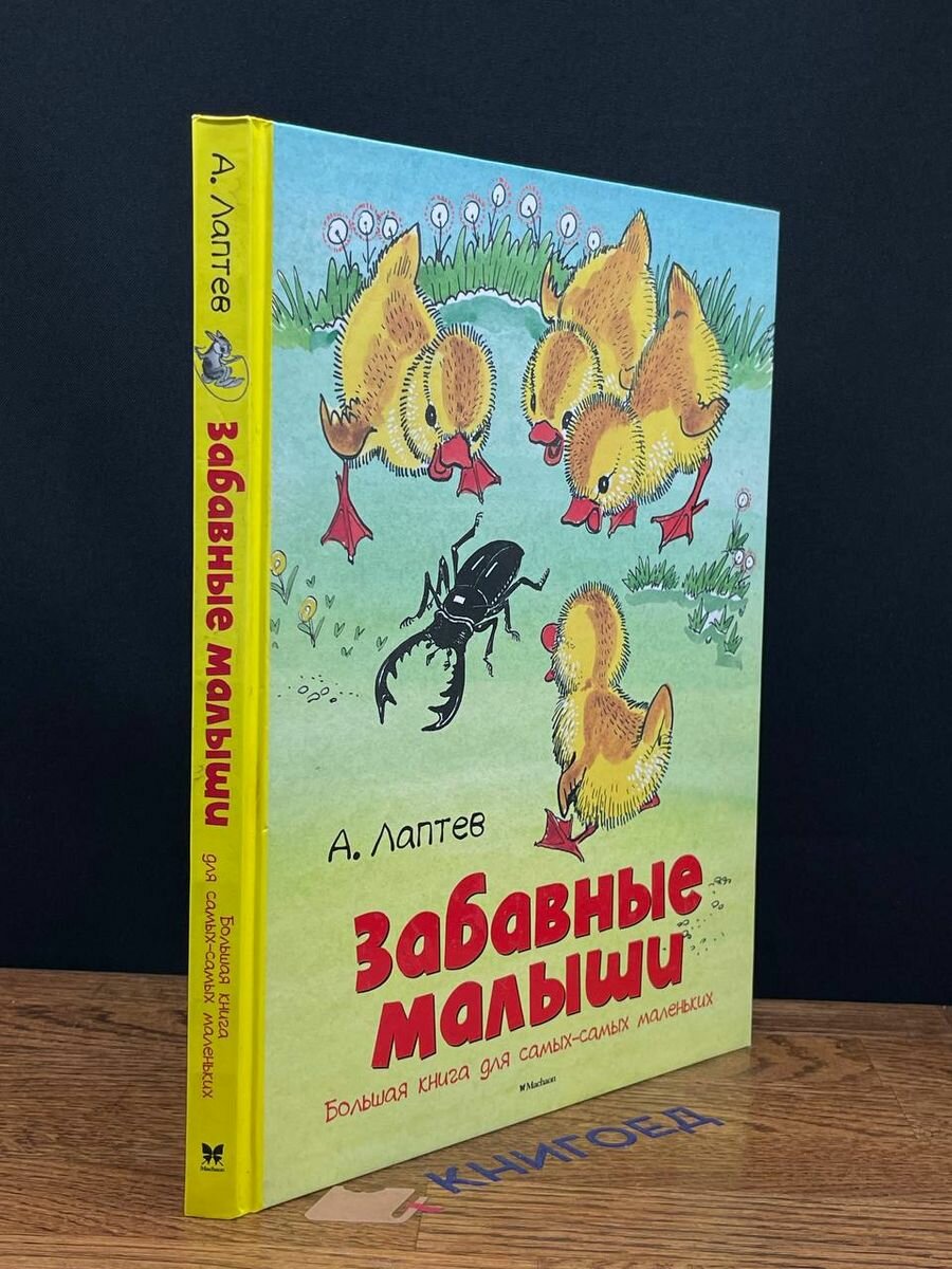 Забавные малыши. Большая книга для самых-самых маленьких 2016