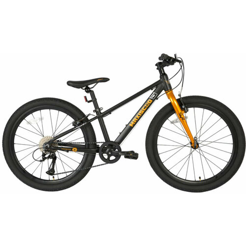 MAXISCOO 5Bike 24 Стандарт 2024 черный матовый M 36900₽
