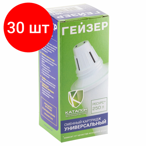 Комплект 30 шт, Сменный картридж ГЕЙЗЕР 301, универсальный, для фильтров Гейзер, 30506 кувшин гейзер аквариус белый картридж 501 картридж 301