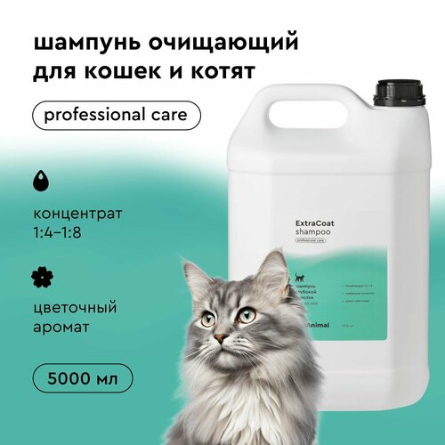 Шампунь для кошек ProAnimal for Cats ExtraCoat, 5 литров, очищающий от органических загрязнений длинношерстных и короткошерстных пород кошек